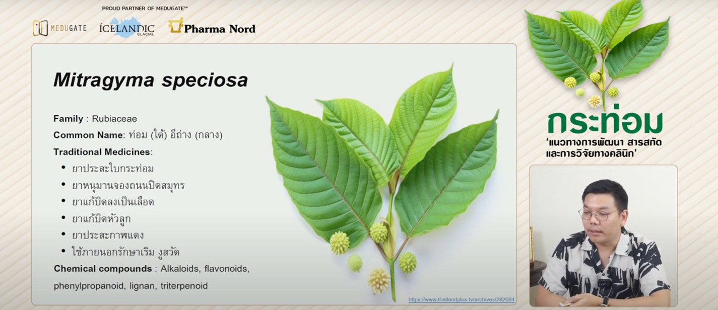 Lecture in topic Development of kratom extract and used for clinical research
