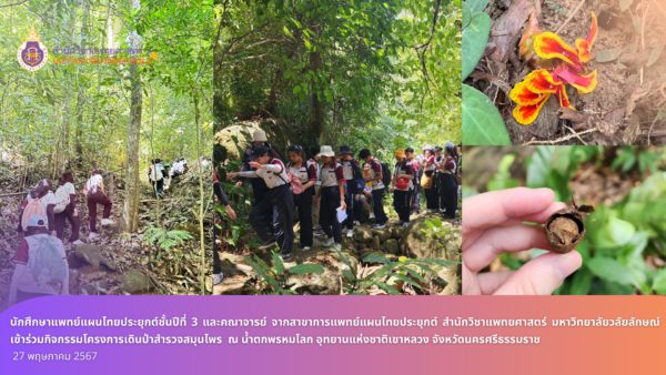 Third year Applied Thai Traditional Medicine students and lecturers from Applied Thai Traditional Medicine, School of Medicine, Walailak University took part in the herbal hiking project at Phrom Lok Waterfall, Nakhon Si Thammarat Province.