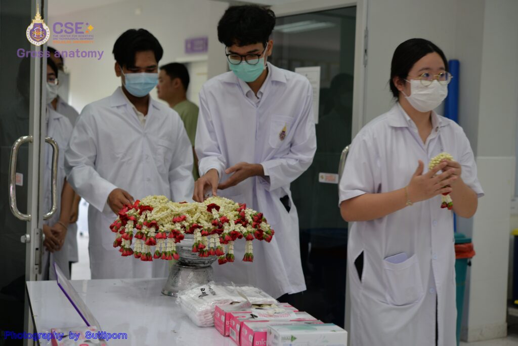 Getting ready for the study of gross human anatomy, the Academic year 2024