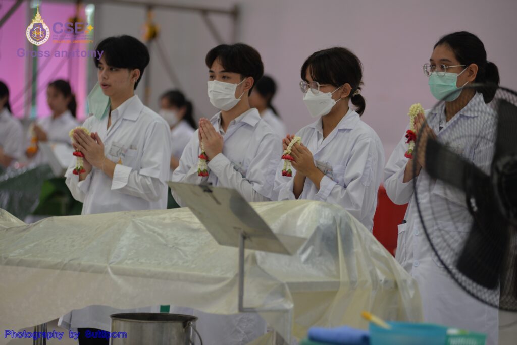 โครงการเตรียมความพร้อมการเรียนมหกายวิภาคศาสตร์ ปีการศึกษา 2567