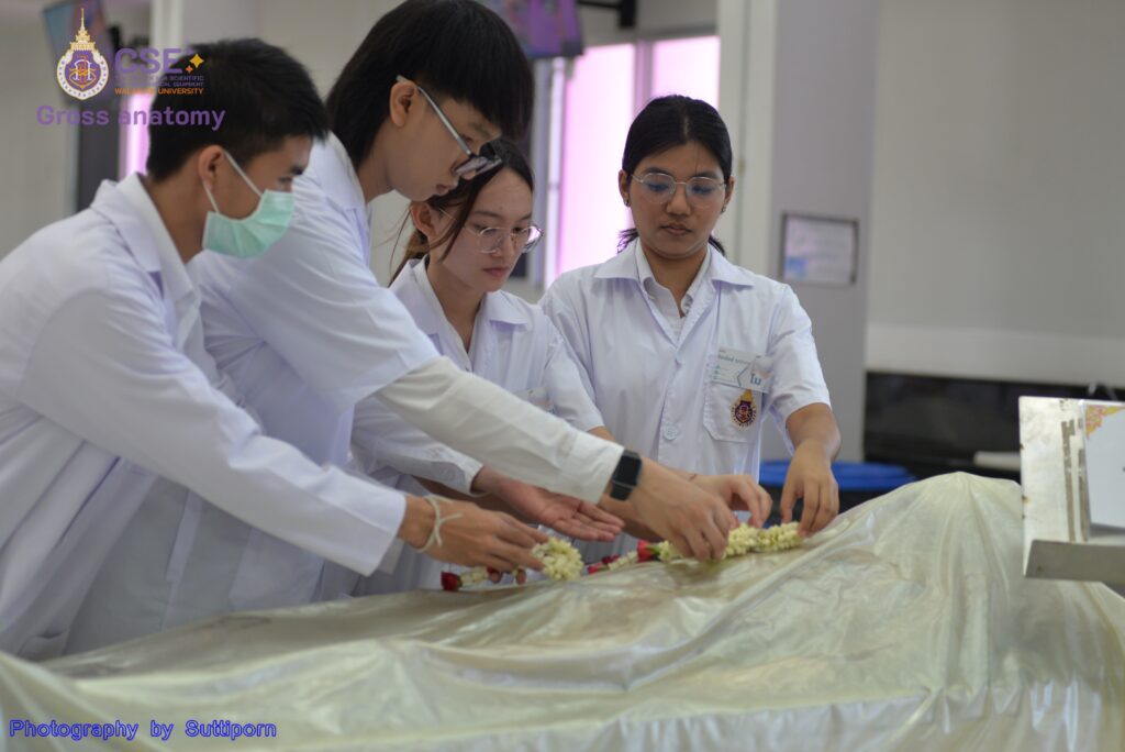 โครงการเตรียมความพร้อมการเรียนมหกายวิภาคศาสตร์ ปีการศึกษา 2567