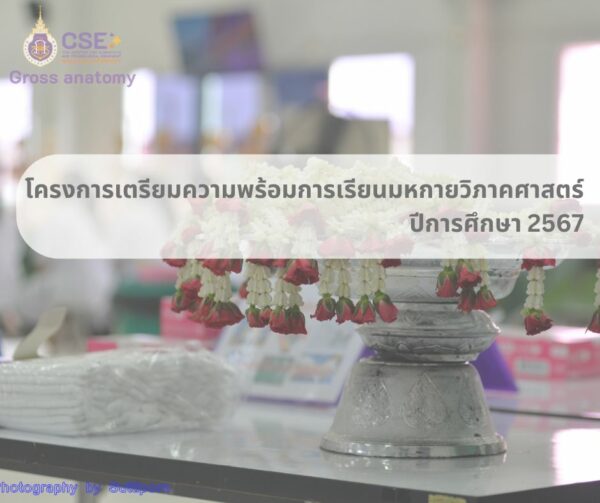 โครงการเตรียมความพร้อมการเรียนมหกายวิภาคศาสตร์ ปีการศึกษา 2567