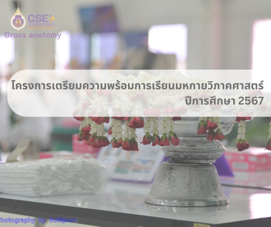โครงการเตรียมความพร้อมการเรียนมหกายวิภาคศาสตร์ ปีการศึกษา 2567