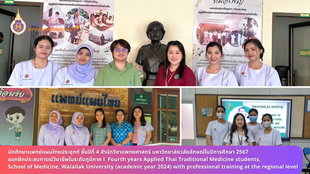 Fourth years Applied Thai Traditional Medicine students, School of Medicine, Walailak University (academic year 2024) with professional training at the regional level