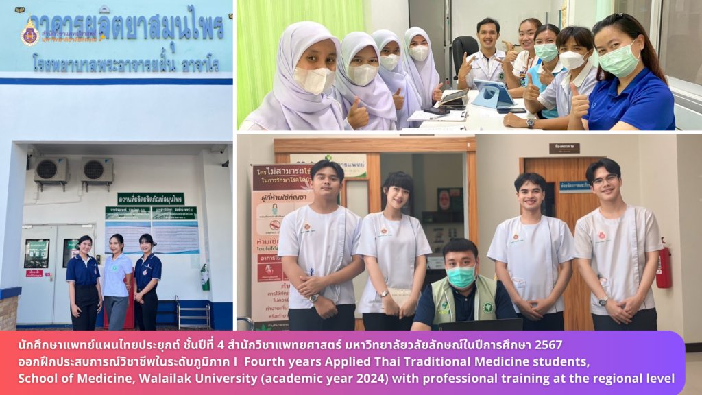 Fourth years Applied Thai Traditional Medicine students, School of Medicine, Walailak University (academic year 2024) with professional training at the regional level