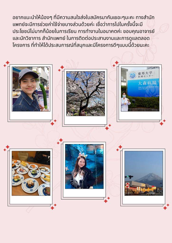 Japan elective experience