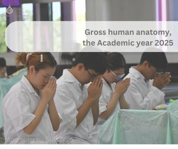 สำนักวิชาแพทยศาสตร์จัดโครงการเตรียมความพร้อมการเรียนมหกายวิภาคศาสตร์ ปีการศึกษา 2568