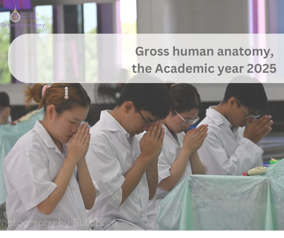 สำนักวิชาแพทยศาสตร์จัดโครงการเตรียมความพร้อมการเรียนมหกายวิภาคศาสตร์ ปีการศึกษา 2568