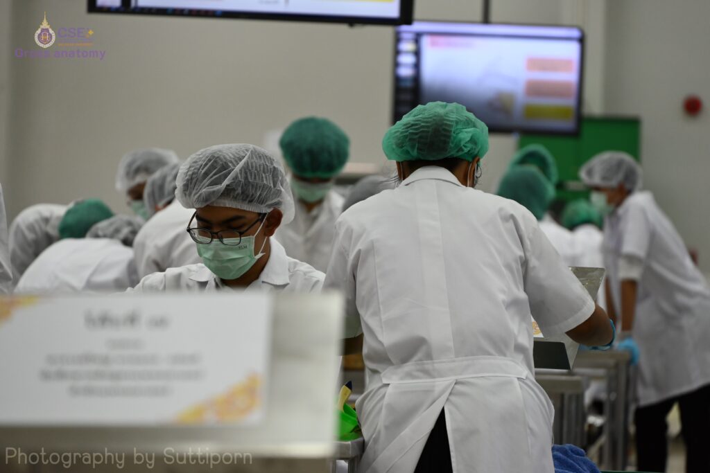 School of Medicine Organizes Preparatory Program for Gross Anatomy Course, Academic Year 2025