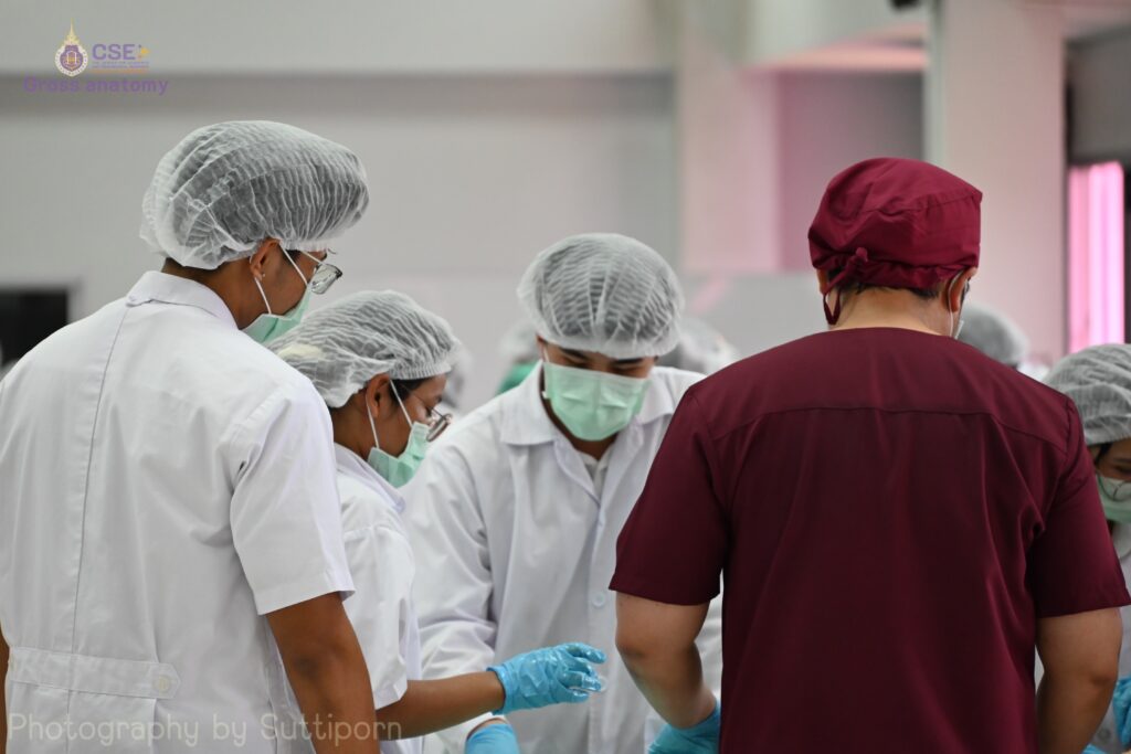 สำนักวิชาแพทยศาสตร์จัดโครงการเตรียมความพร้อมการเรียนมหกายวิภาคศาสตร์ ปีการศึกษา 2568