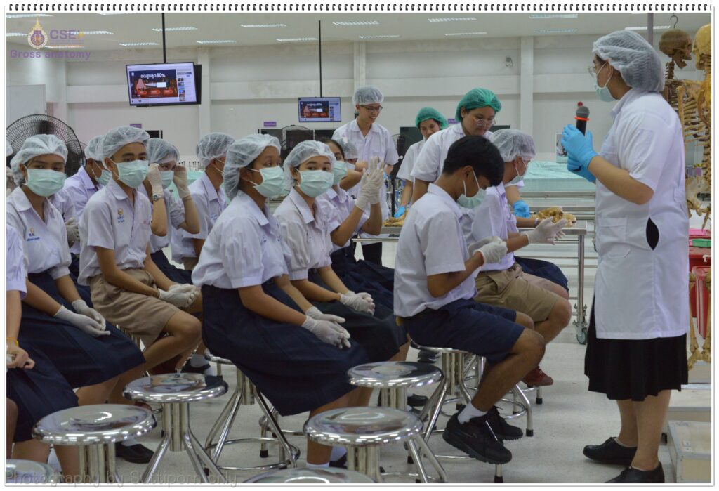 SMD Open House 2025: เปิดโลกการแพทย์ วิทยาศาสตร์การกีฬา และแพทย์แผนไทยประยุกต์