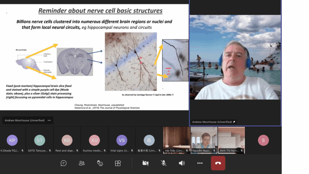 นักศึกษาแพทย์จากมหาวิทยาลัยวลัยลักษณ์ร่วมแสดงศักยภาพบนเวทีสากล ในการแข่งขัน Physiology Quiz Japan Online 2025
