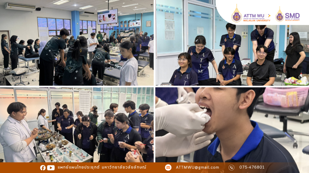 แพทย์แผนไทยประยุกต์ มวล. เสริมแกร่งนศ. จัดเวิร์กชอปติวเข้ม “ศาสตร์การฟื้นฟูผู้ป่วยโรคหลอดเลือดสมองระยะกลาง (Intermediate Care)”