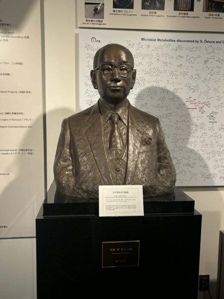 Global Camp in Healthcare Team