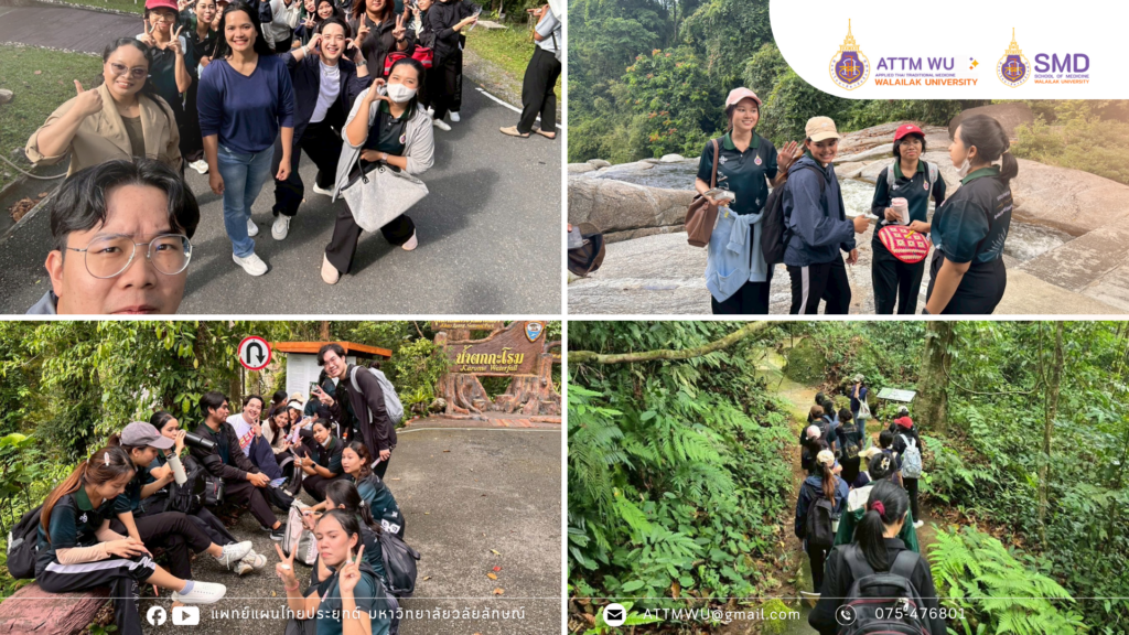 คณาจารย์และนักศึกษาแพทย์แผนไทยประยุกต์ศึกษาสมุนไพรในพื้นที่ป่าธรรมชาติของ อุทยานแห่งชาติเขาหลวง