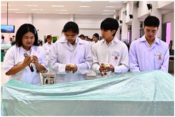 สำนักวิชาแพทยศาสตร์ จัดโครงการเตรียมความพร้อมการเรียนมหกายวิภาคศาสตร์ ให้แก่นักศึกษาแพทย์และทันตแพทย์ก่อนเข้าสู่การเรียนปฏิบัติจริง 